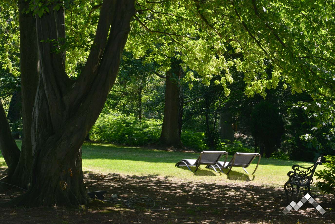 VILLA FLORE-29